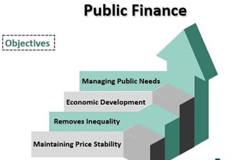 Public Finance