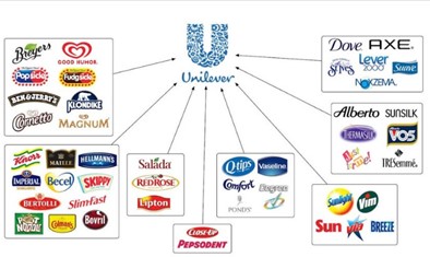 Unilever and Its Supplier Ecosystem