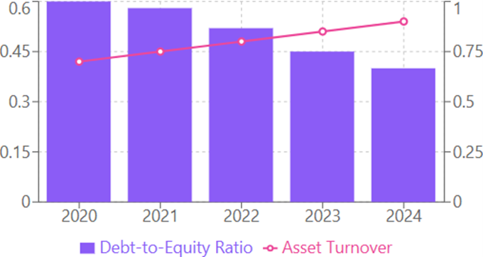 Debt and Efficiency Metrics